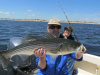 Hank's striped bass 6-17-13